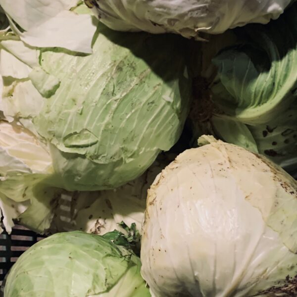 Bio Kohl ab 1kg