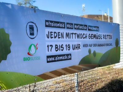 Food Save anstatt Food Waste